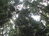 camp24 (122)_samu.gif